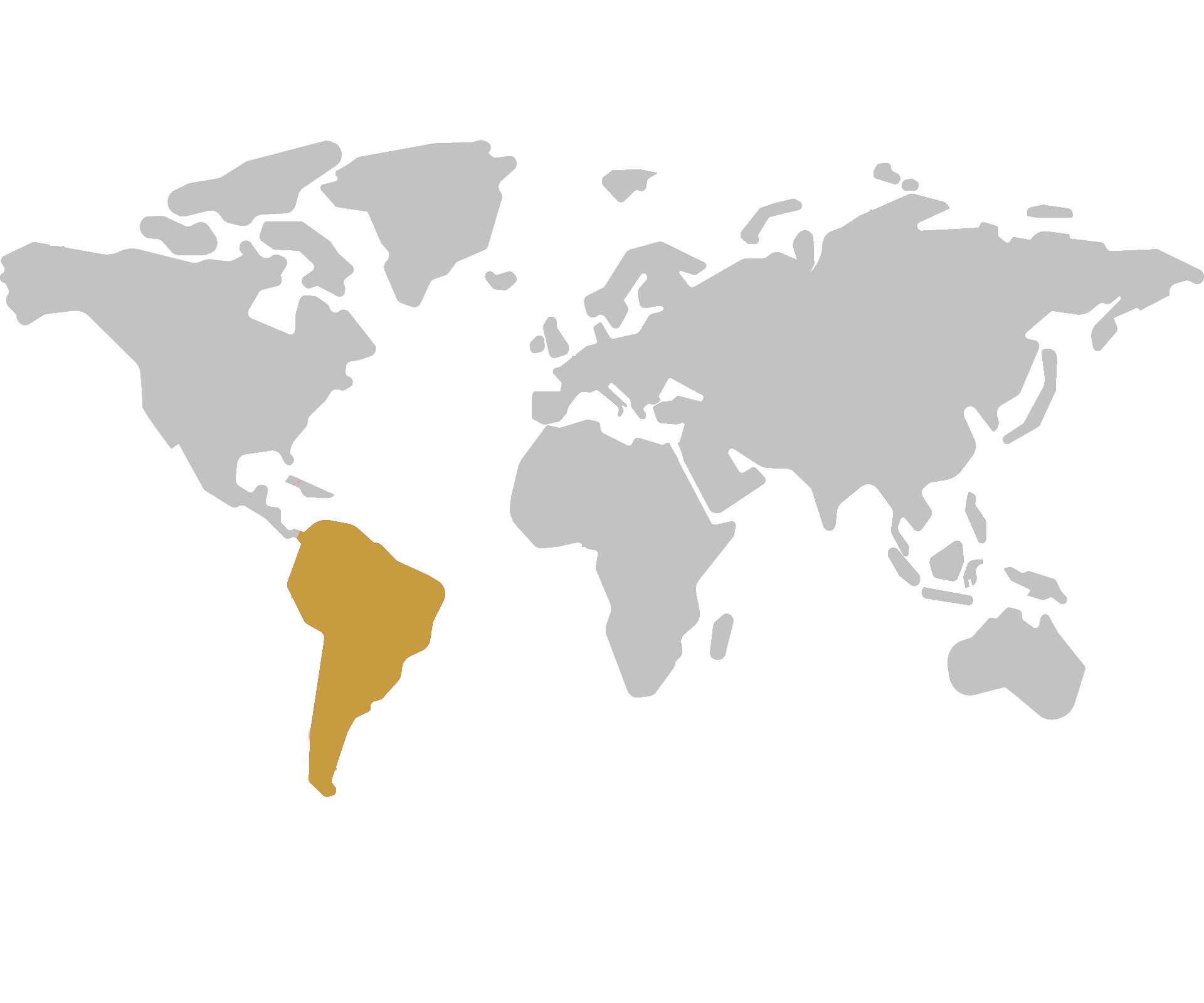  South America Authorized Distributors