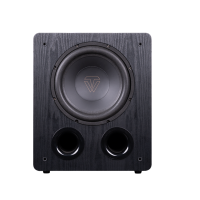 10-inch bass subwoofer analog H class