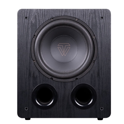 10-inch bass subwoofer analog H class