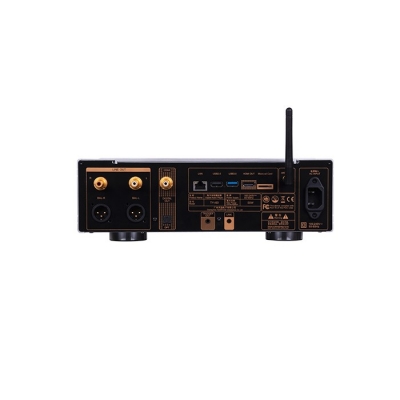 TY-i60 DSD Digital Player