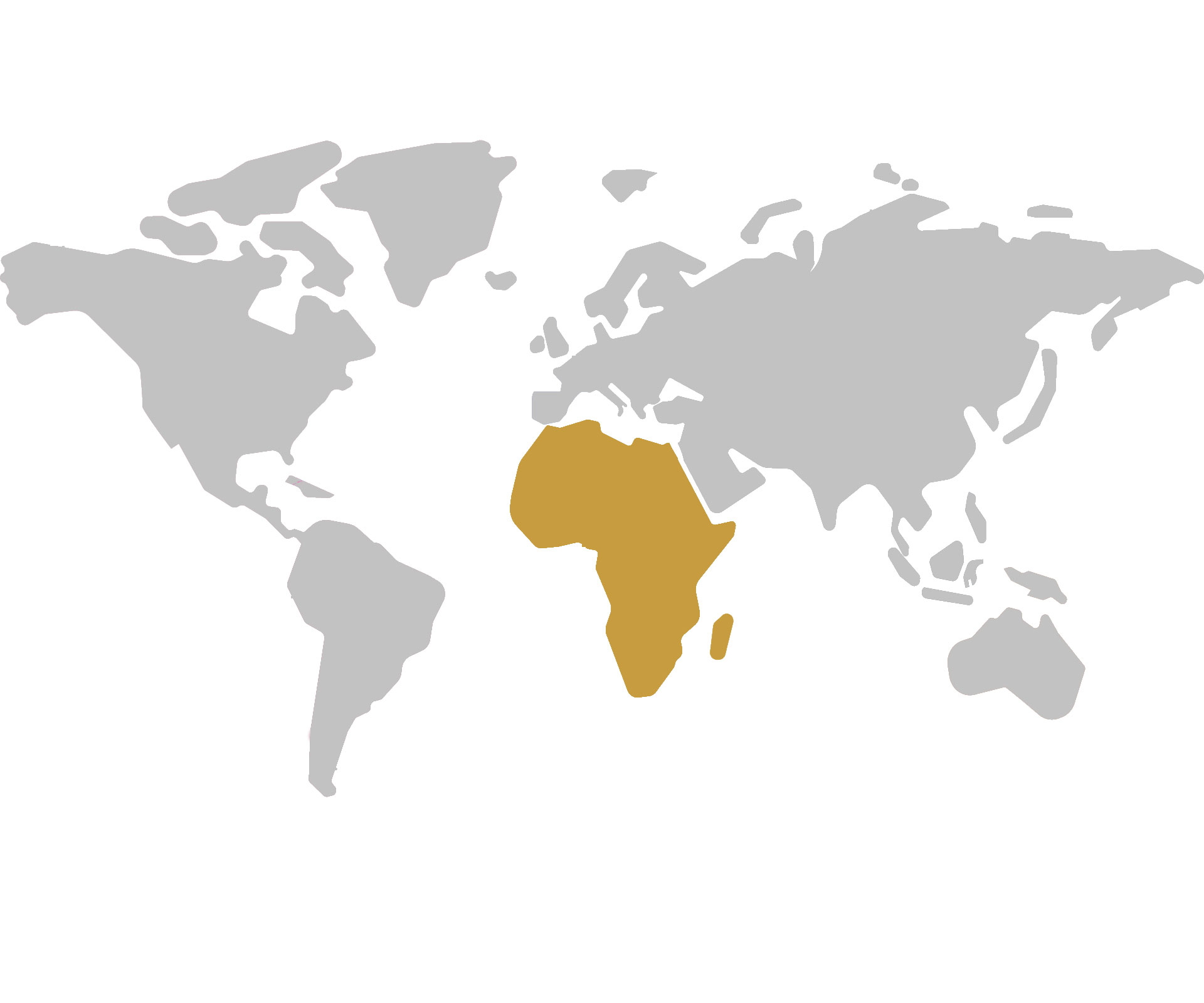  Africa Authorized Distributors